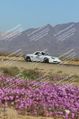 media/Jan-29-2023-PCA San Diego (Sun) [[aa0301ccc2]]/Yellow Group/Session 1 (Turn 15 Bloom)/